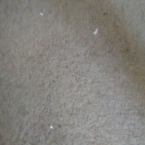 Meet your Posher, Renyag